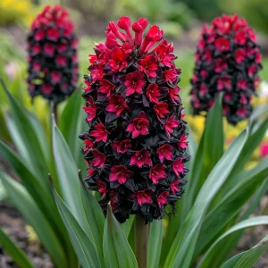 Гиацинт Джем Стоун купить по цене от 2099р. в интернет-магазине «Посадика» с доставкой почтой в в Каменск-Шахтинскийе и по всей России – [изображение №1].